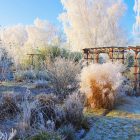 12 Steps to Create a Stunning Winter Garden